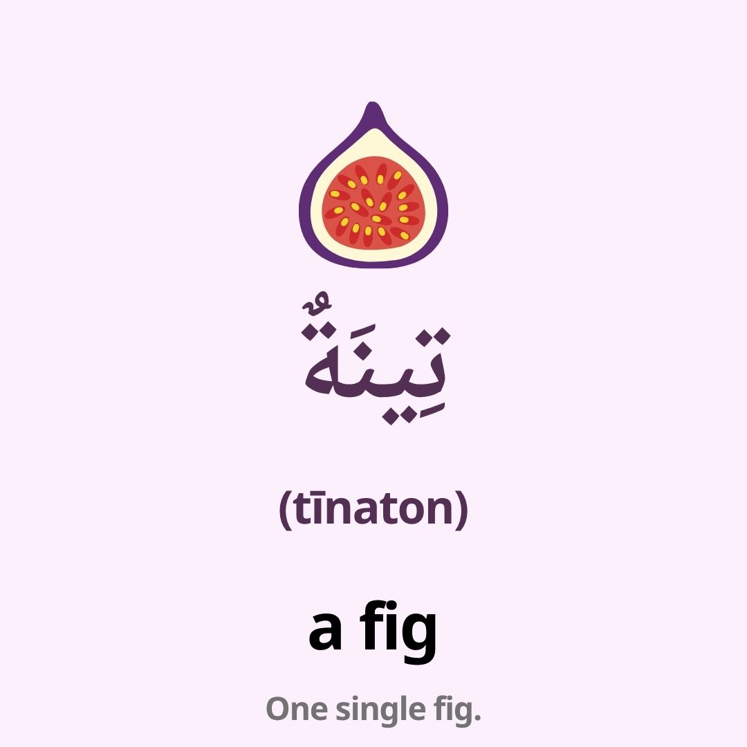 fruits in arabic
