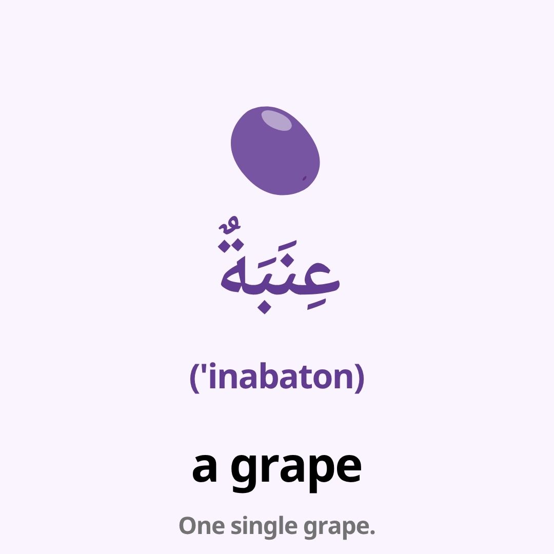 fruits in arabic