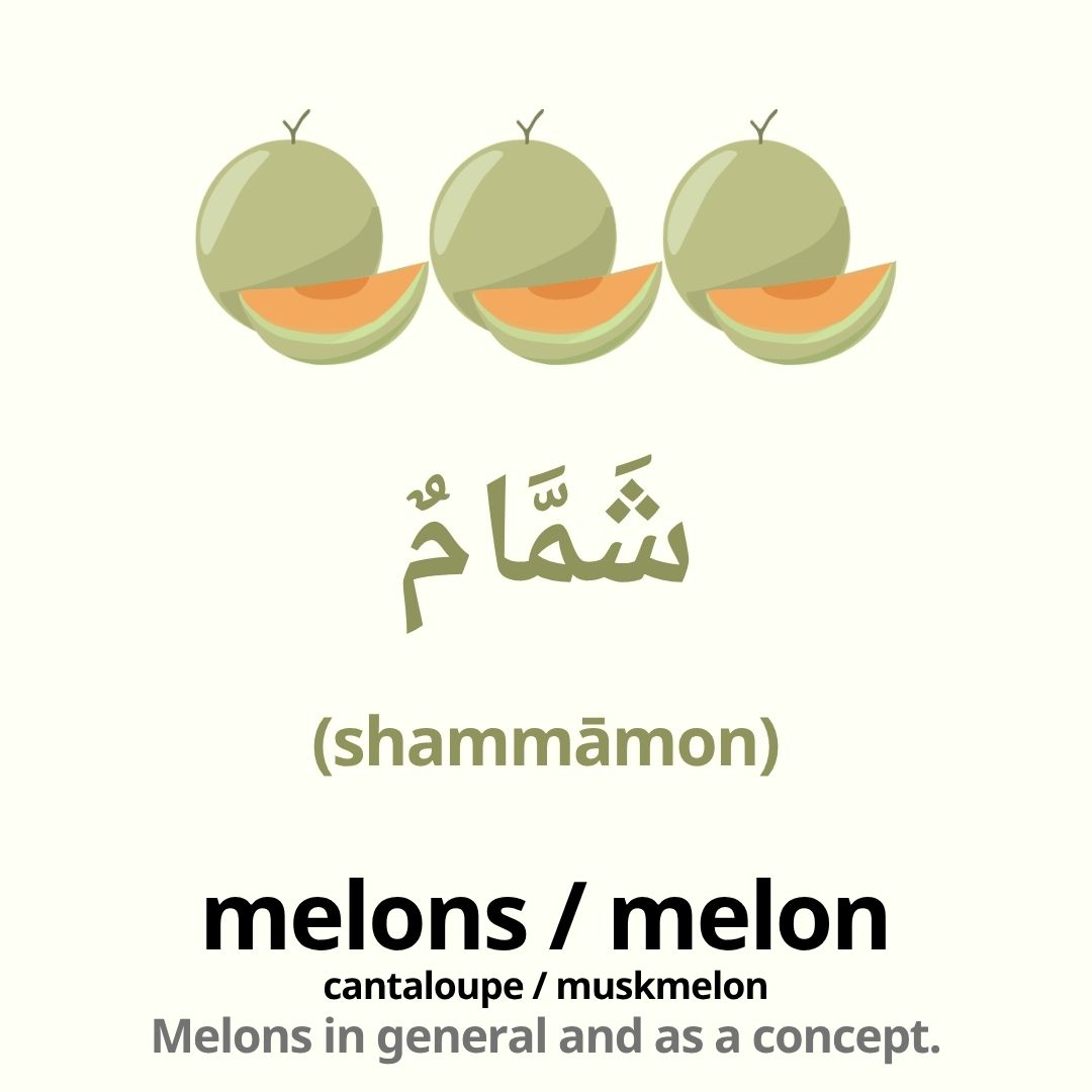 fruits in arabic