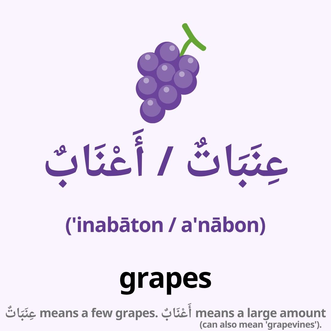 fruits in arabic