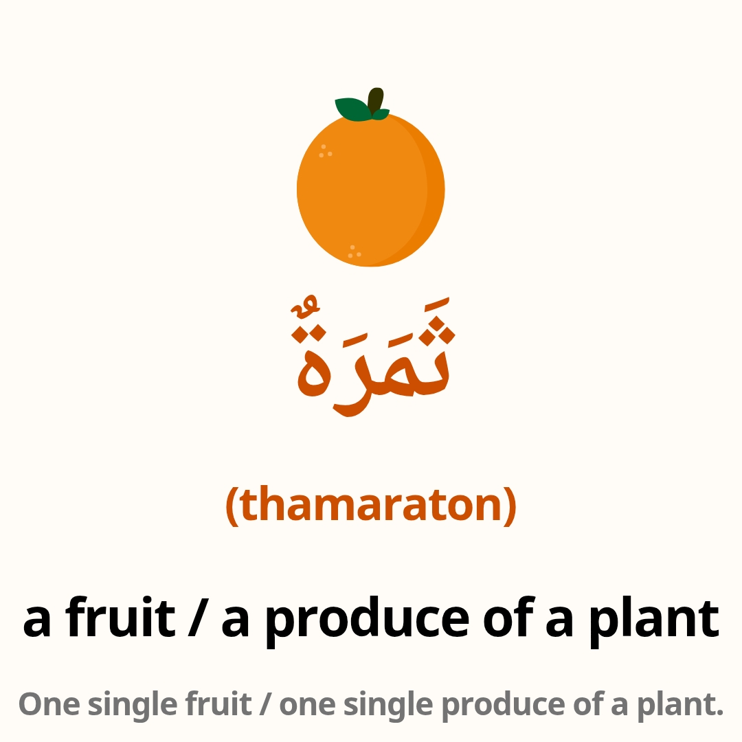 arabic words