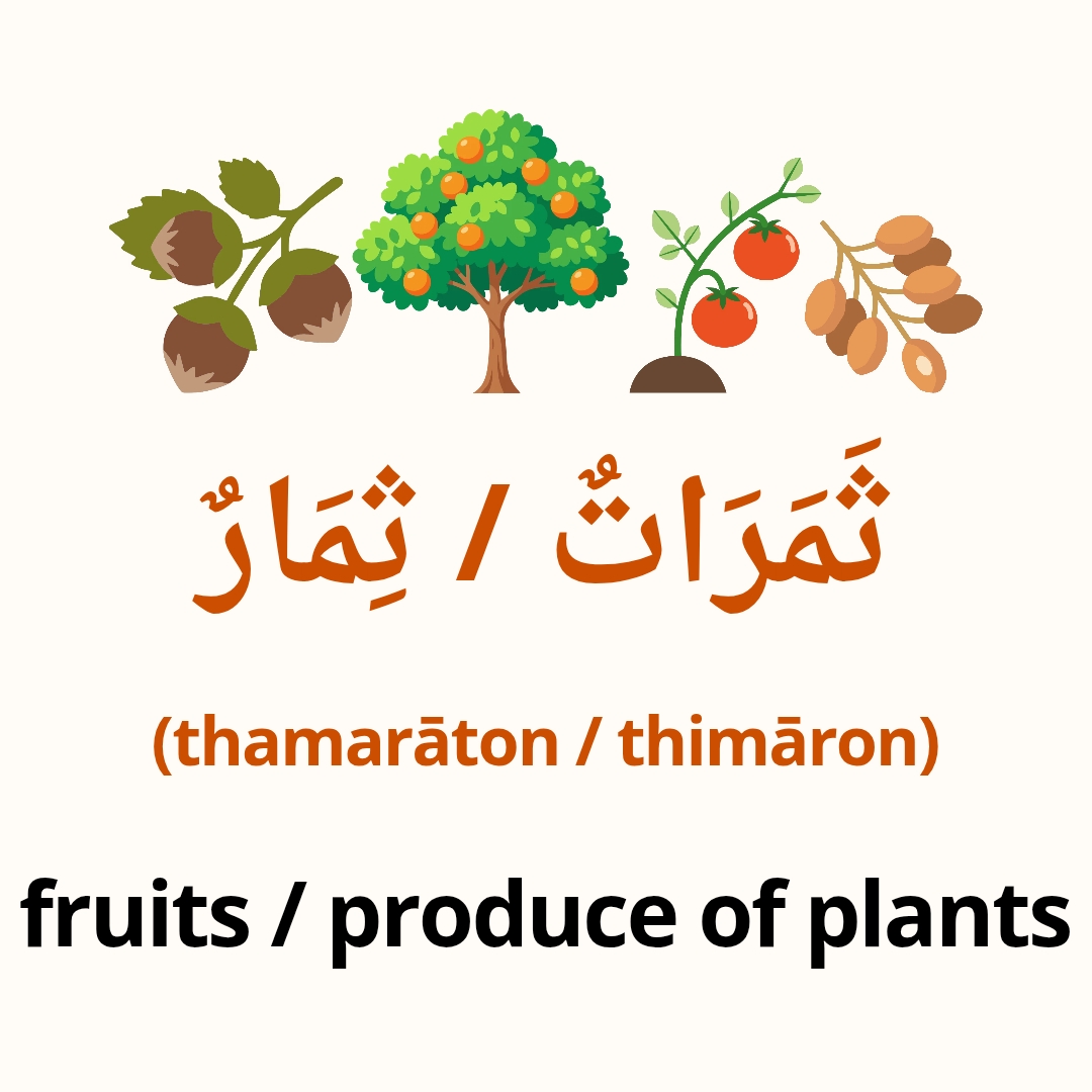 arabic words
