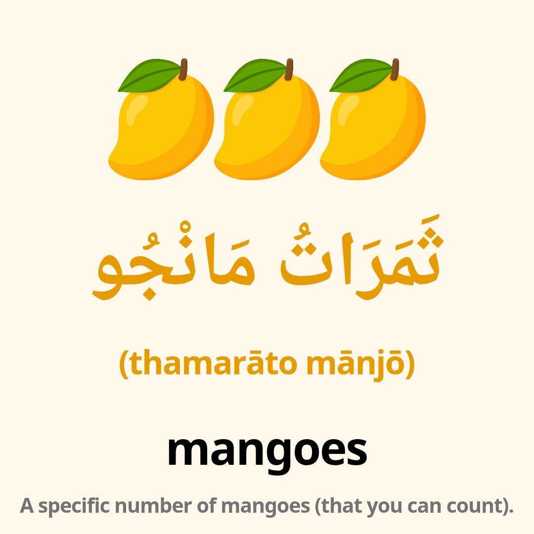 arabic words